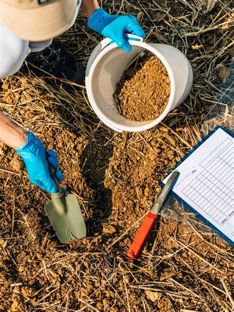 soil testing for gardens